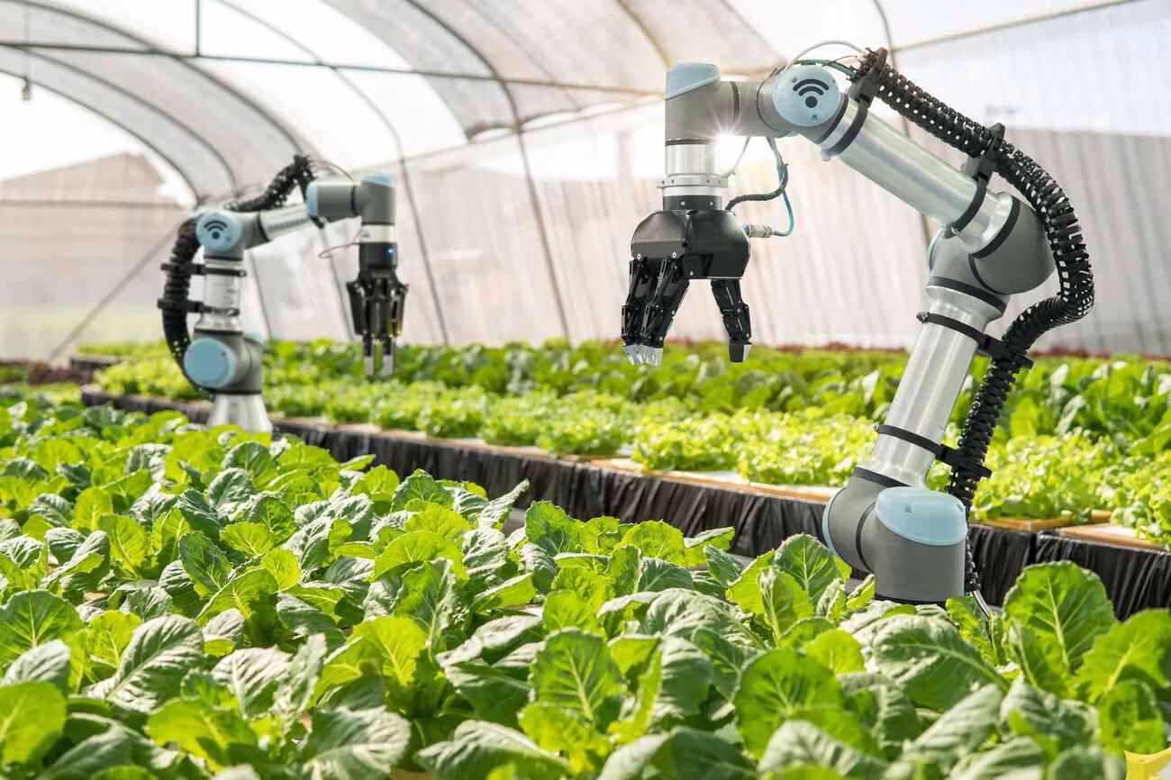 "From Oat Milk to Lab Butter: The Future of Food in 2025" From Oat Milk to Lab Butter: The Future of Food in 2025"